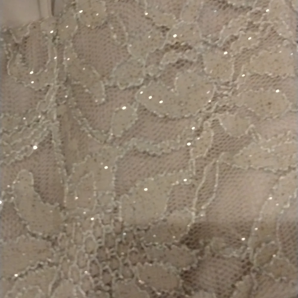 LACEY dress size 0. Nice for prom - Picture 7 of 8